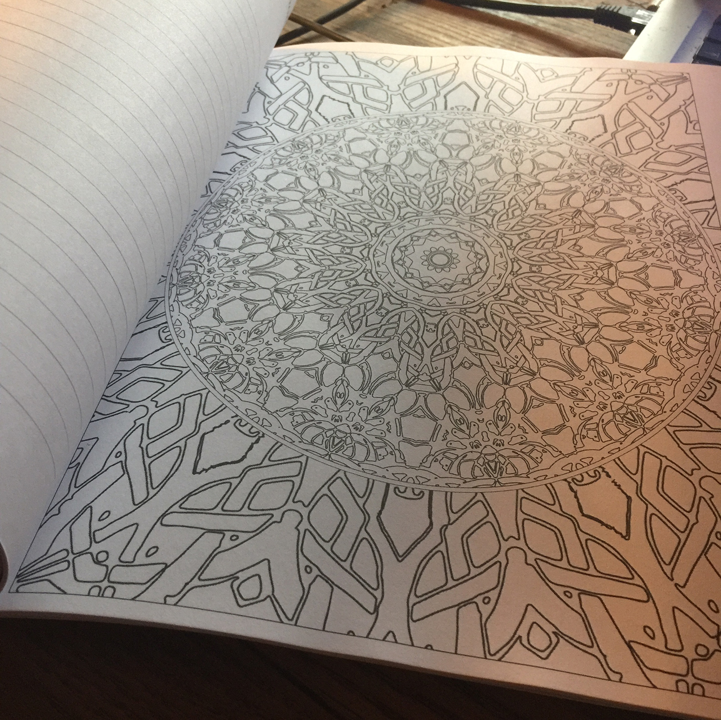 Inner Page2 Photo